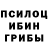 Псилоцибиновые грибы прущие грибы Iliy Avilov