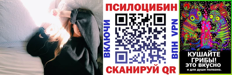 закладки  Мураши  площадка какой сайт  Псилоцибиновые грибы Psilocybine cubensis 